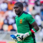 Manuel Sapunga Player Profile and Biography: All You Need to Know