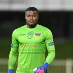 Stanley Nwabali: Player Profile and Biography