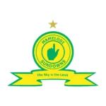 Mamelodi Sundowns: A Dominant Force in South African Football