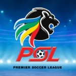 South Africa Premier Soccer League : A Look at the League’s History