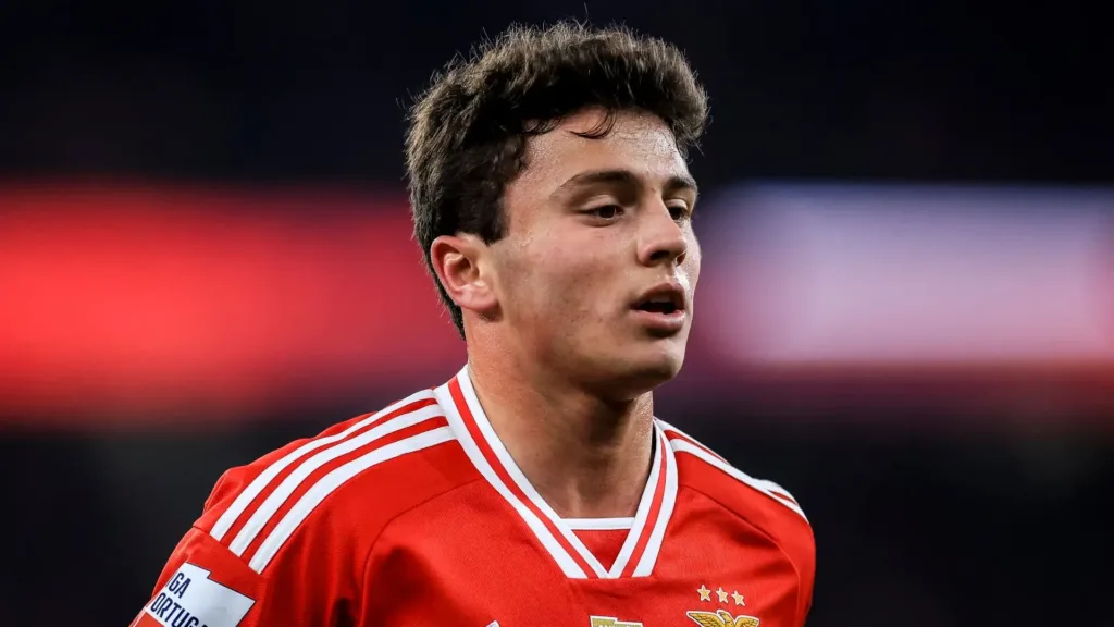 João Neves Player Profile & Stats: All You Need to Know