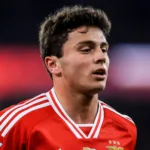 João Neves Player Profile & Stats: All You Need to Know