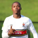 Thabang Sibanyoni Player Profile and Stats: A Comprehensive Look at His Professional Career